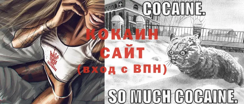 hydra как войти  Закаменск  COCAIN Перу 